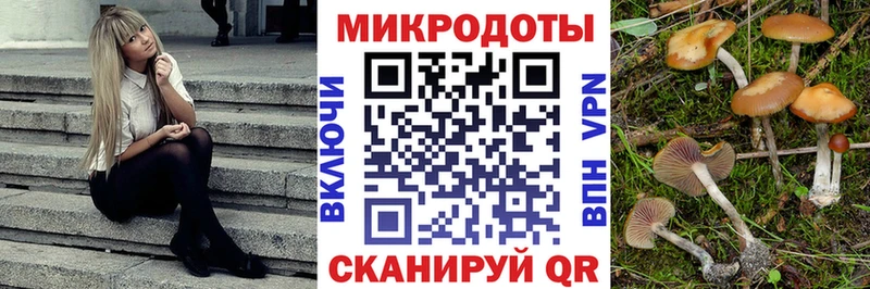 Галлюциногенные грибы Magic Shrooms Долгопрудный