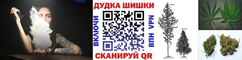 закладка  МЕГА рабочий сайт  Конопля OG Kush  Долгопрудный 